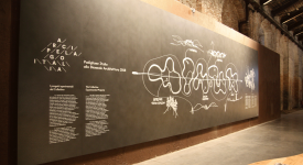 Padova e Biennale di Venezia 2018